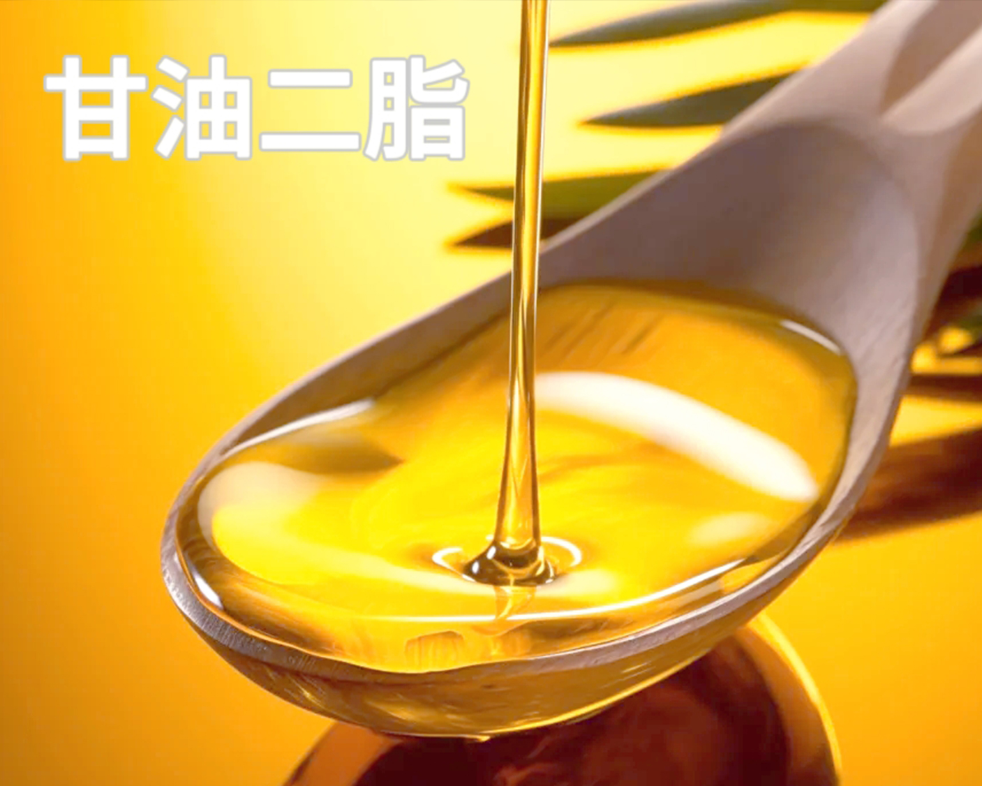 甘油二酯油