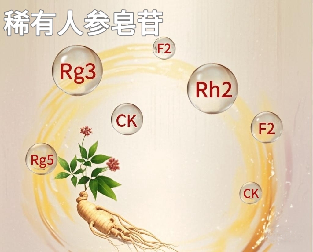 稀有人参皂苷